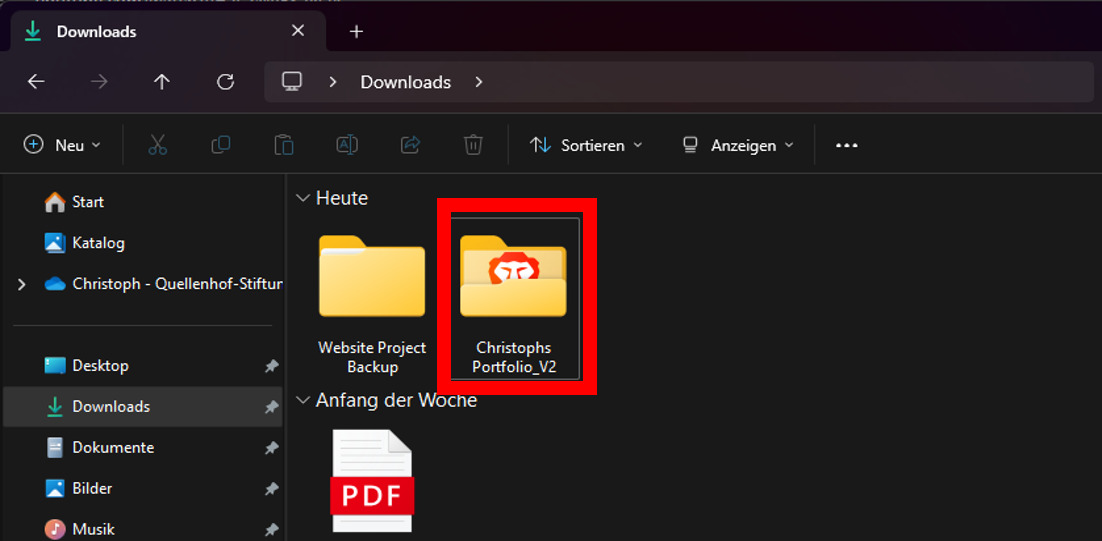 Website-Ordner in Downloads